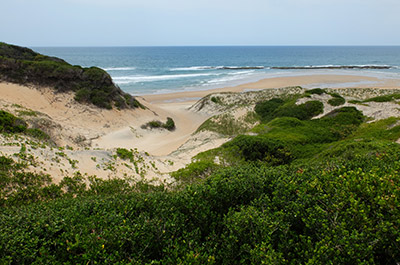 Playa desde el Paraíso Magoo