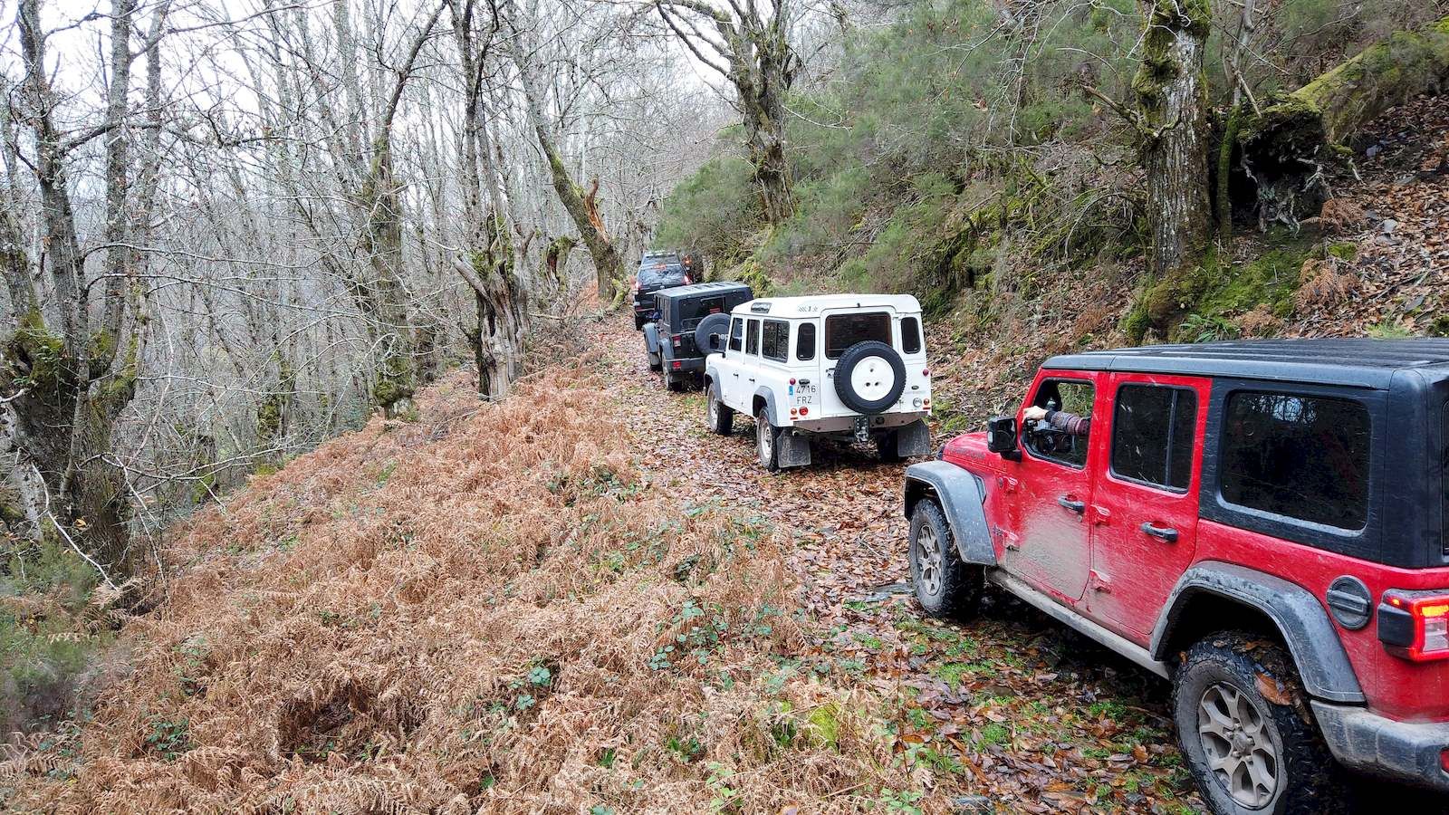 Lugo 4x4 Galicia interior varios todoterrenos