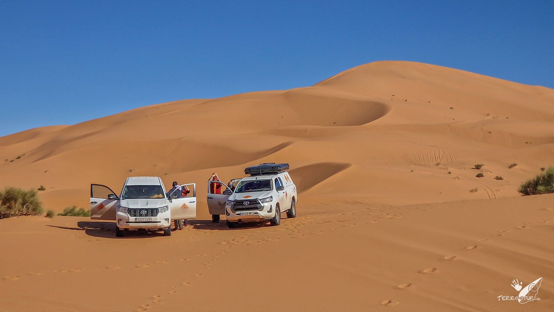 doradas dunas del Erg Ouzina