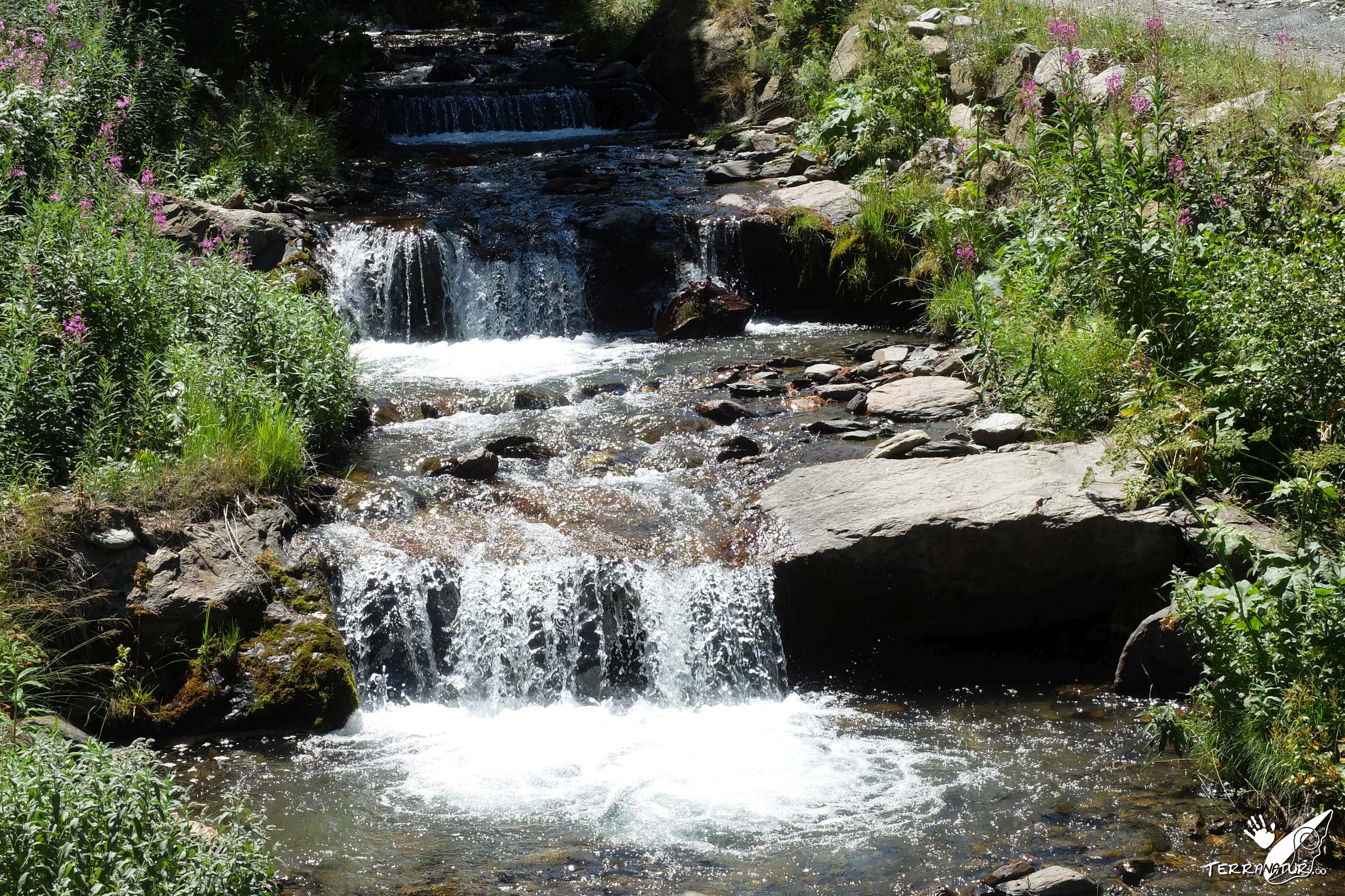 Cascada natural en Pirineos
