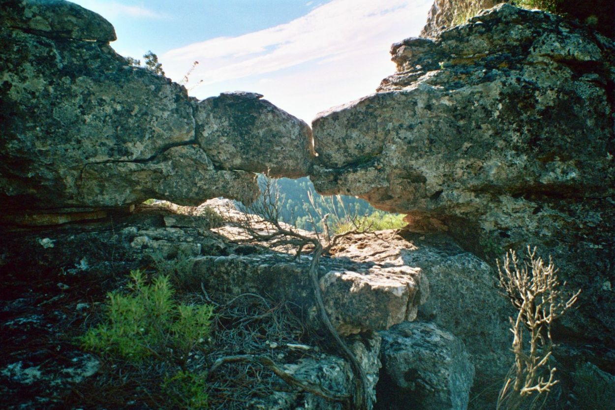 Detalle en la Sierra de Cuenca
